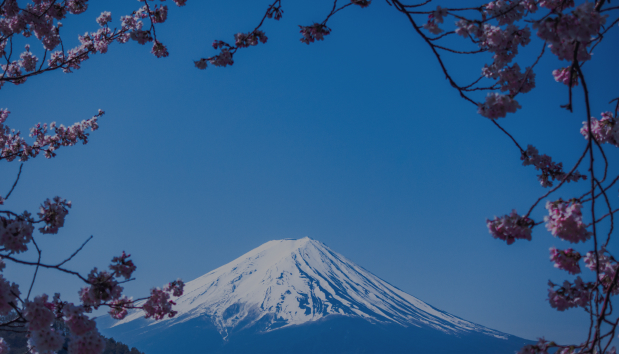 Mount Fuji